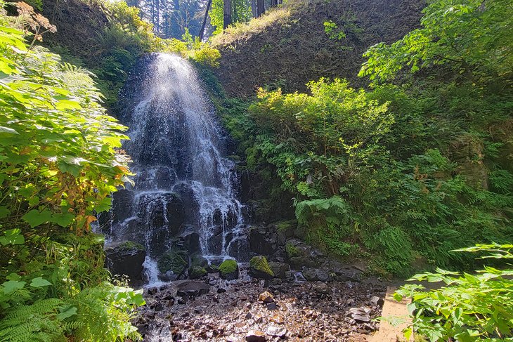 Fairy Falls, Columbia River Gorge