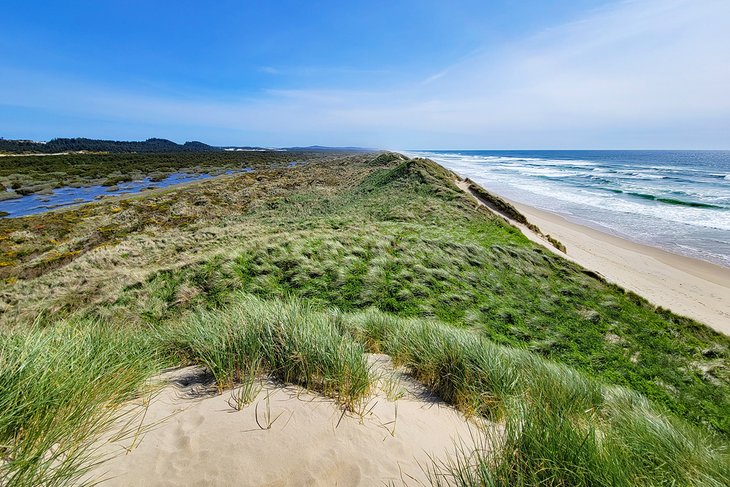 South Jetty, Oregon Dunes National Recreation Area