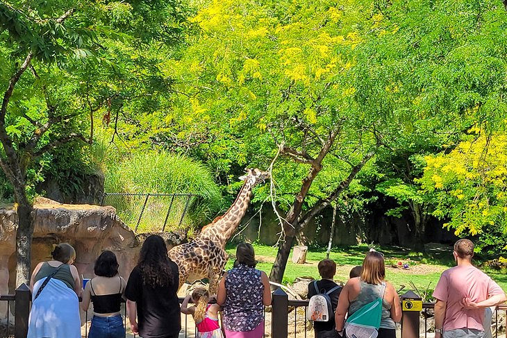 Oregon Zoo, Washington Park