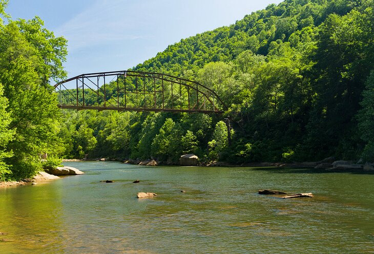 Jenkinsburg Bridge over the Cheat River