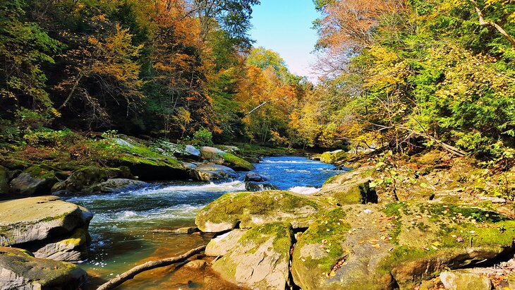 Slippery Rock Creek Gorge