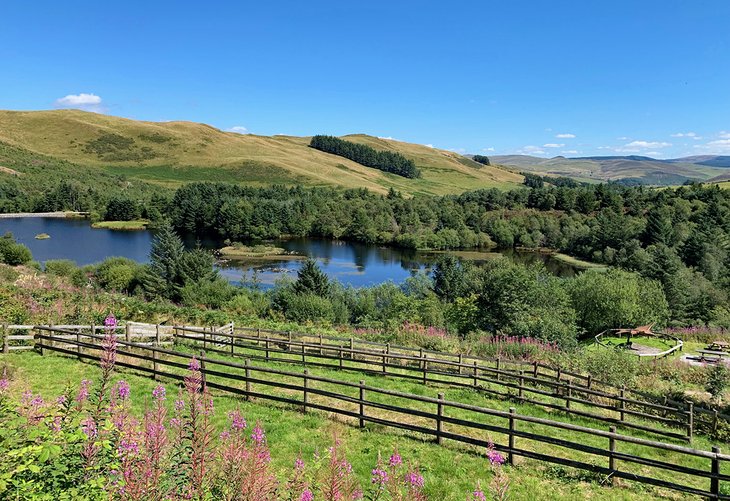 Bwlch Nant yr Arian Forest Visitor Centre