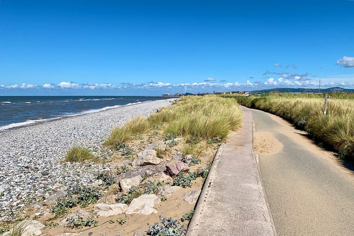 Kinmel Dunes Local Nature Reserve