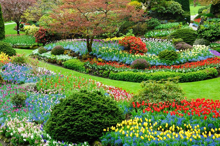 Butchart Gardens in Victoria, British Columbia