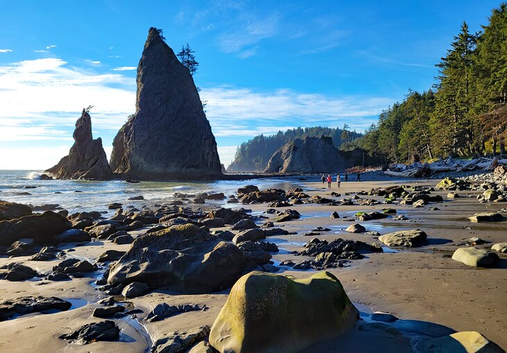 Rialto Beach, Olympic National Park