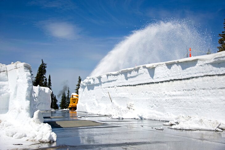 Snow plowing Hurricane Ridge Road in May