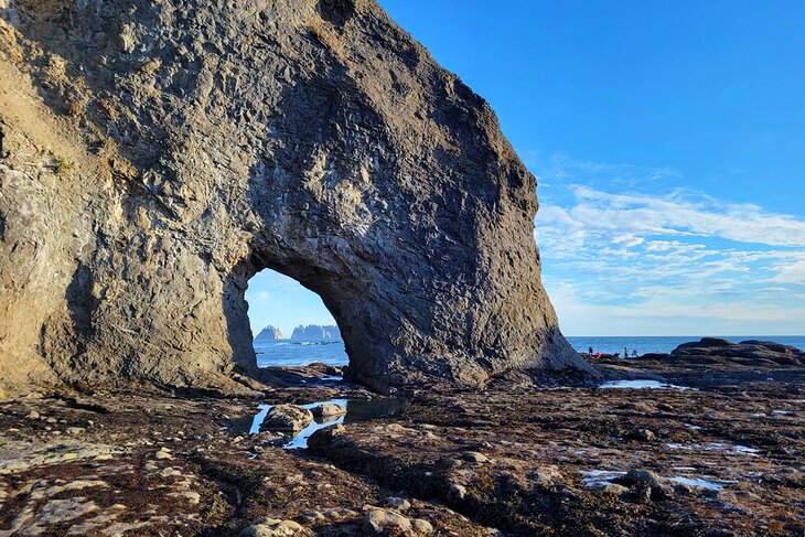 Hole-in-the-Wall, Olympic Coast