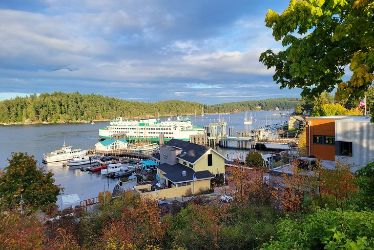 Friday Harbor