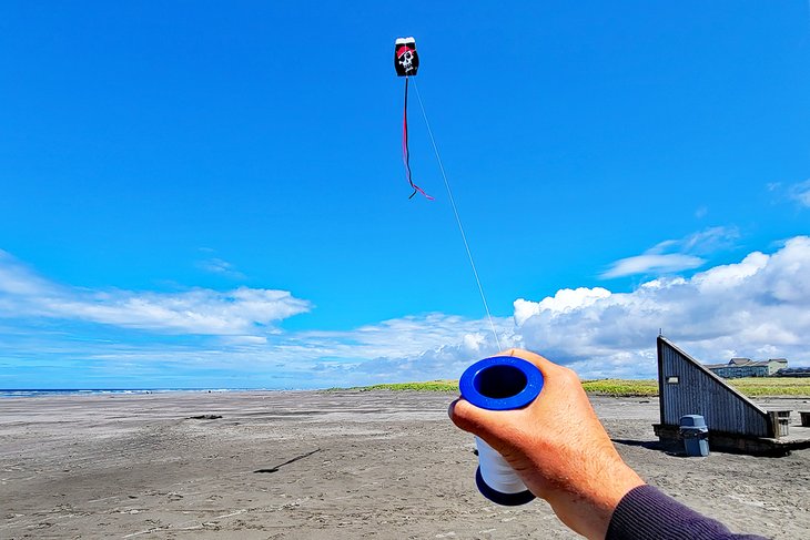 Kite flying on Long Beach