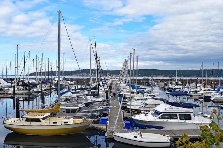 John Wayne Marina, Sequim