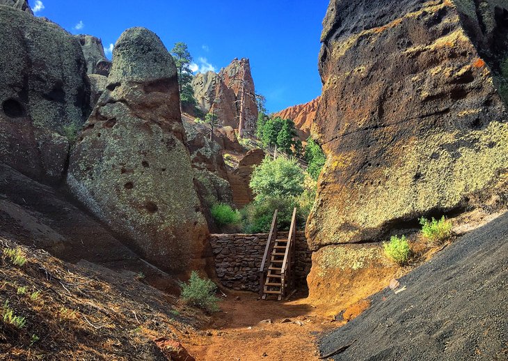 Red Mountain trail