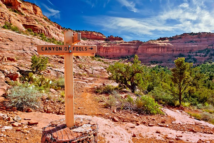 Canyon of Fools