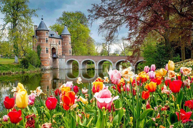Tulips grace Groot-Bijgaarden Castle