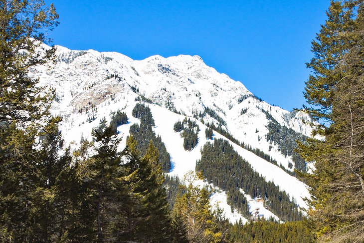 Mount Norquay Ski Resort