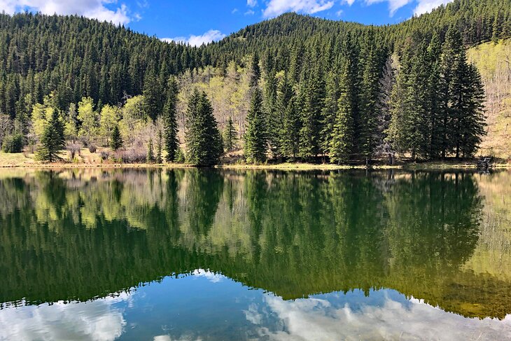 Sibbald Lake