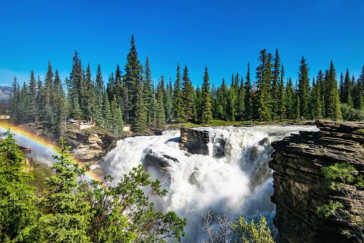 Athabasca Falls