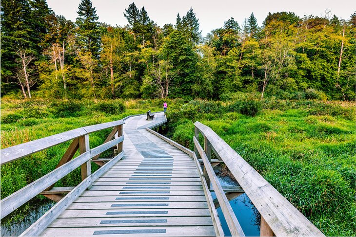 Campbell Valley Regional Park