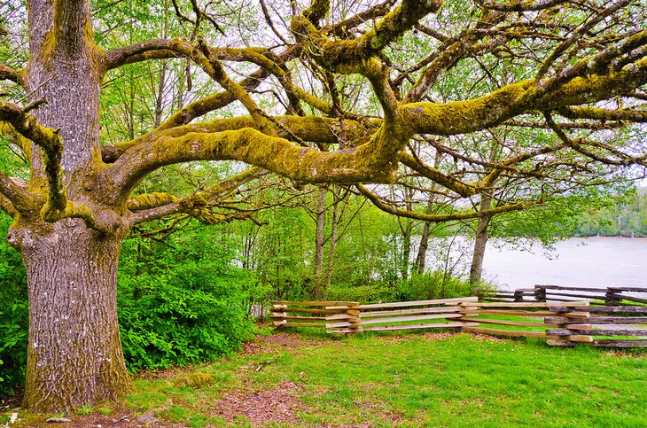 Derby Reach Regional Park