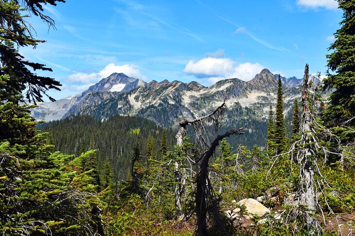 Meadows in the Sky Parkway