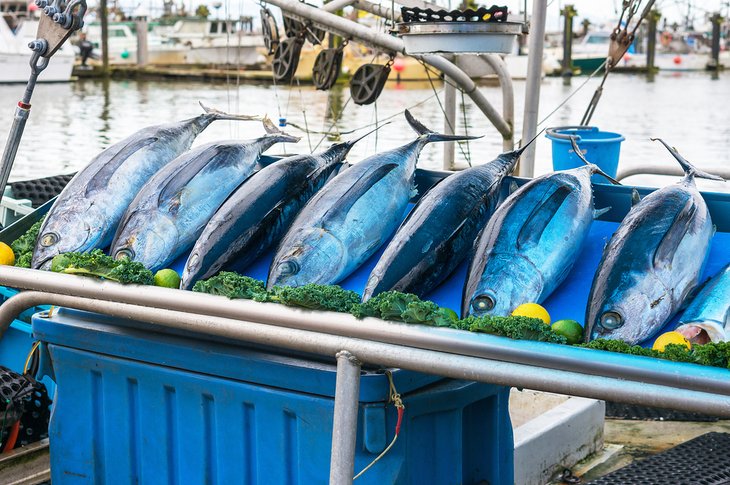 Fish market at Steveston