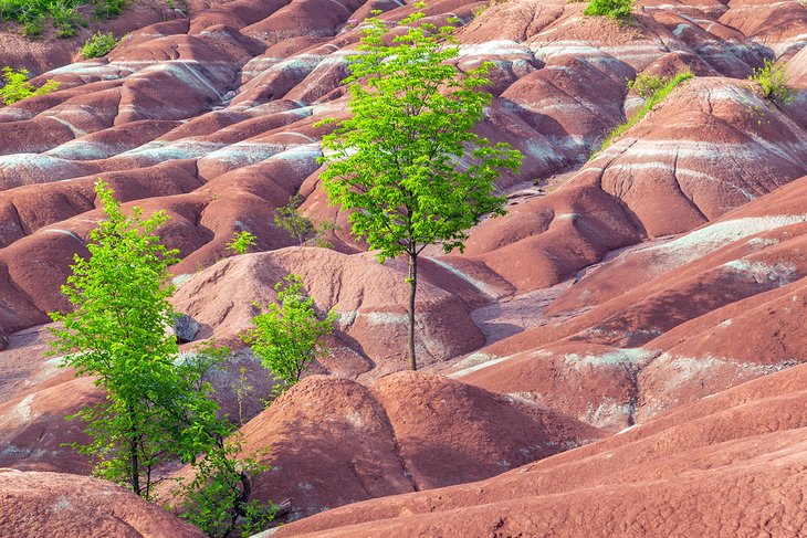 Cheltenham Badlands