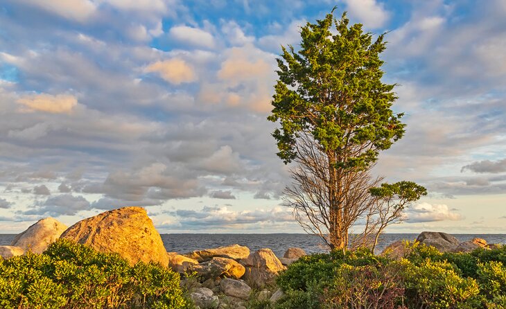 Hammonasset Beach State Park