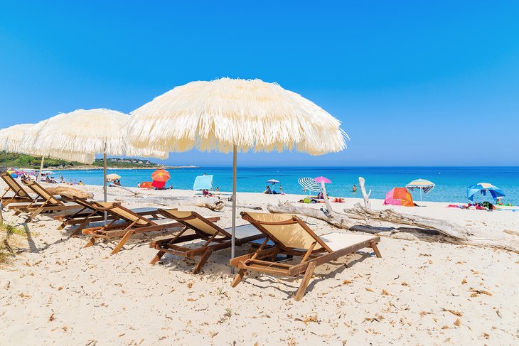 Umbrellas and lounges on Bodri Beach