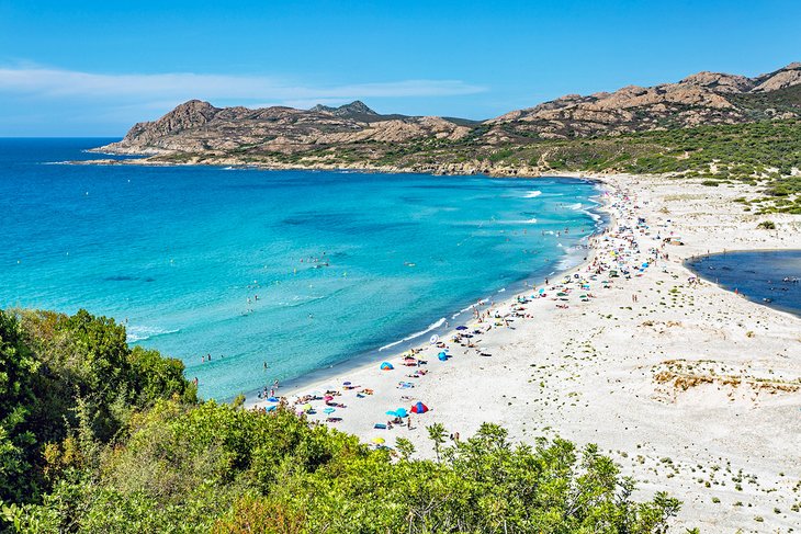 Plage de l'Ostriconi