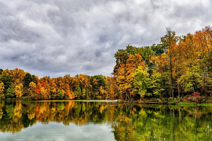 Worster Lake at Potato Creek State Park