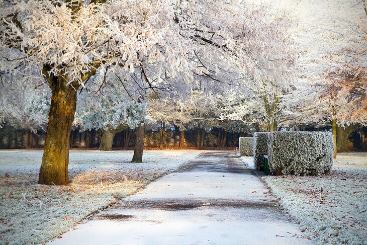 Snow covered park in Limerick