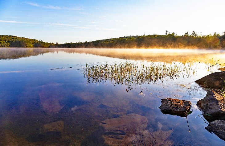 Swan Lake in the early morning