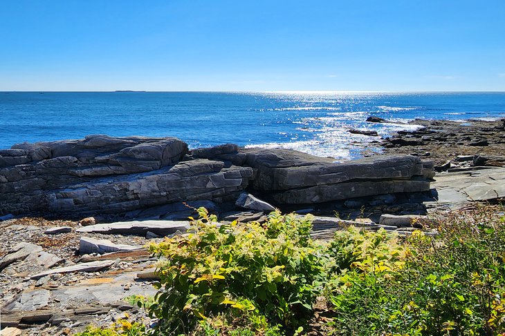 Whaleback Ledge