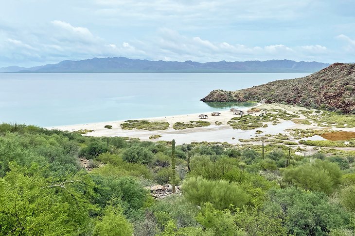 Playa Armenta