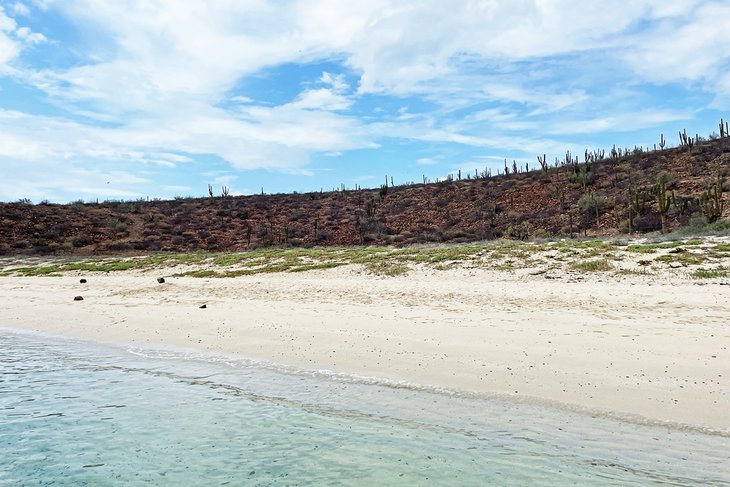 Playa Las Gaviotas