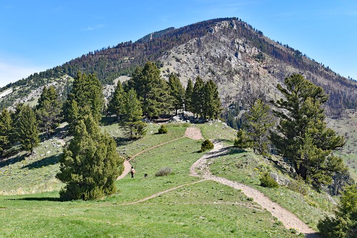 Bridger Range, Bozeman