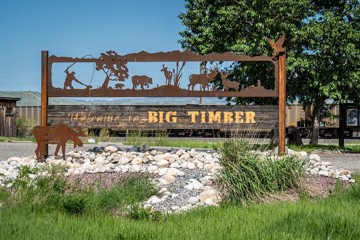 Big Timber