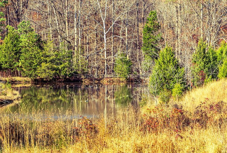 Annie Louise Wilkerson, MD Nature Preserve Park