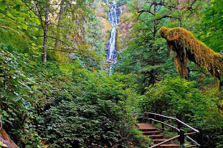 Munson Creek Falls