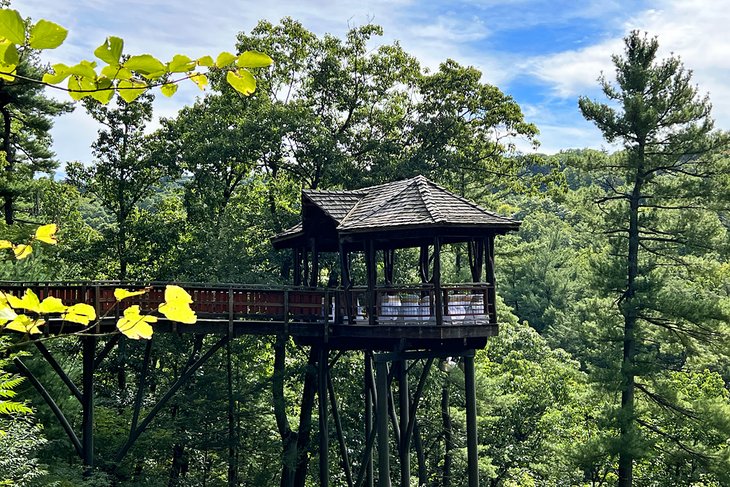 David Wenzel Tree House, Nay Aug Park