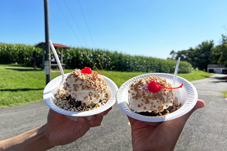 Delicious sundaes at Perrydell Farm and Dairy