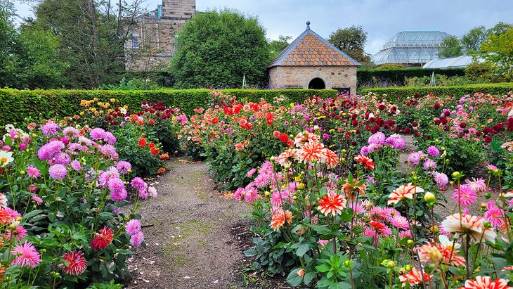 Royal Botanic Garden Edinburgh