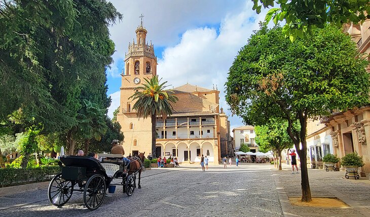 Horse and carriage in front of Iglesia de Santa María La Mayor