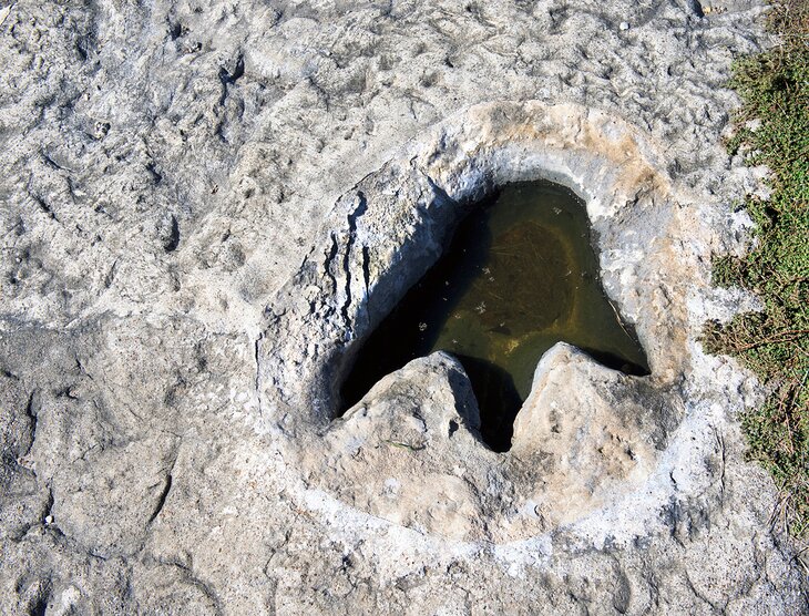 Dino tracks at Dinosaur Valley State Park