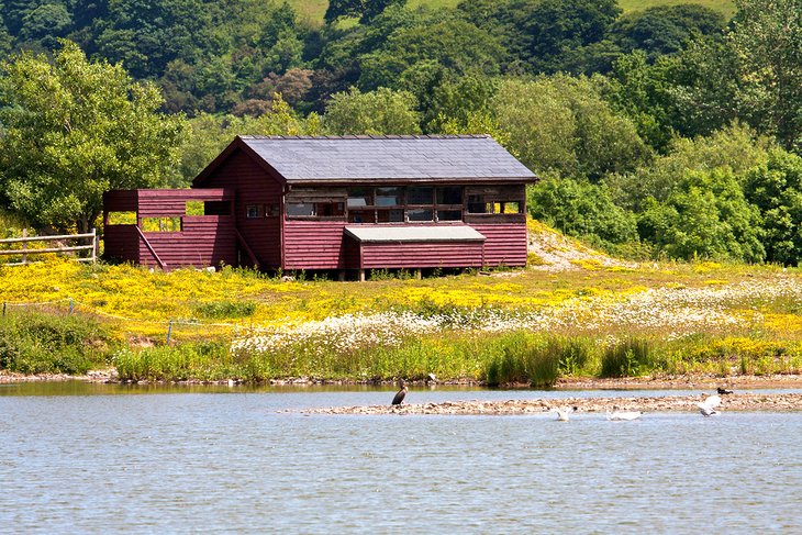 RSPB Conservancy Nature Reserve Conwy