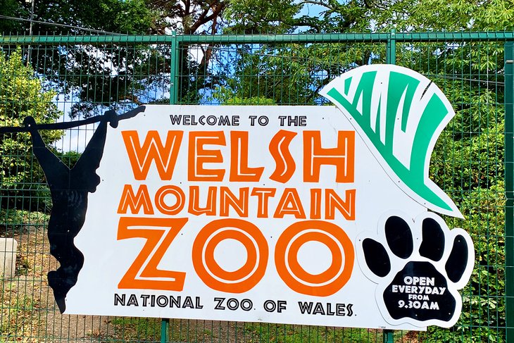 Welsh Mountain Zoo