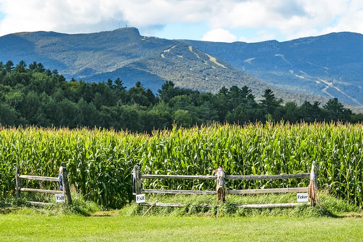 Mount Mansfield from the Stowe Valley