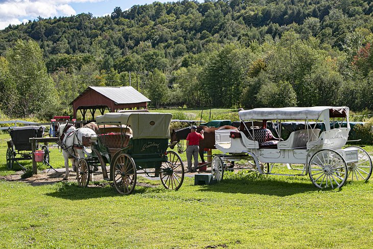 Carriages at Gentle Giants