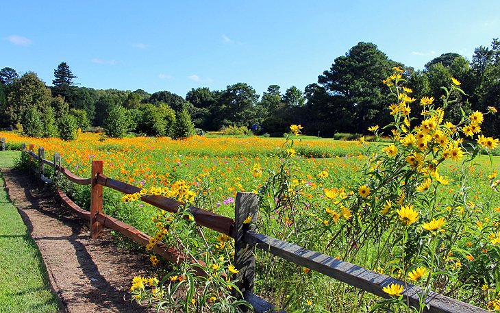 Norfolk Botanical Garden