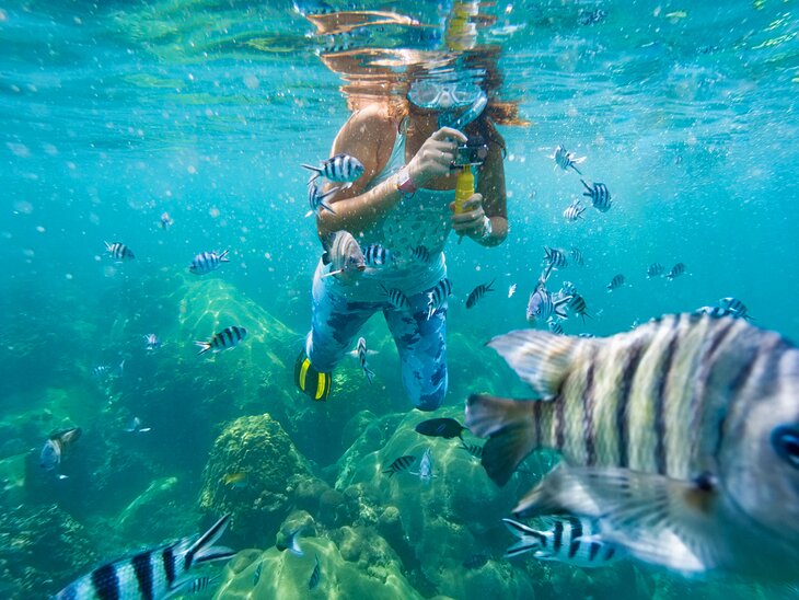 Snorkeling off Koh Tao