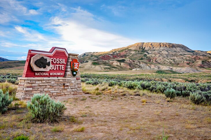 Fossil Butte National Monument